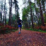 Rasselbock Running