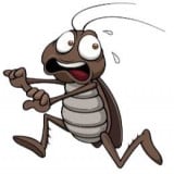 The Running Bug's profile picture