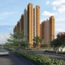 Prestige Evergreen Reviews