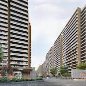 Prestige Evergreen