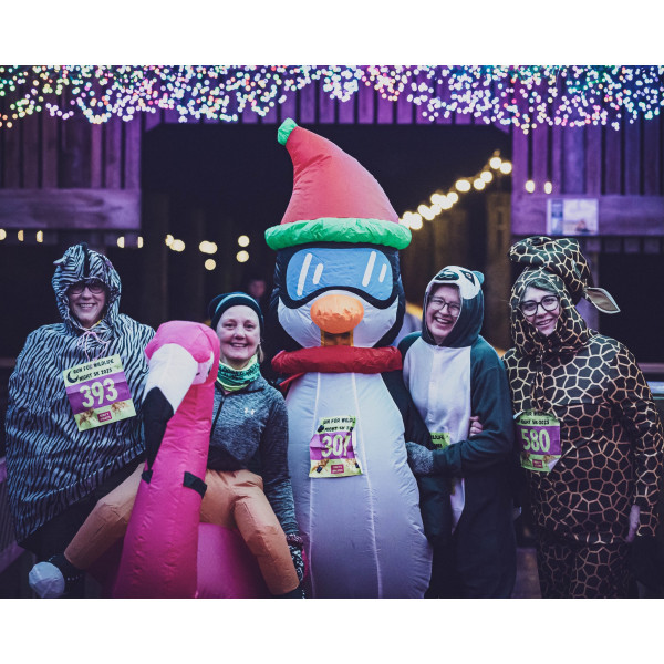 2026 Spectator illuminations pass - Run for Wildlife NIGHT