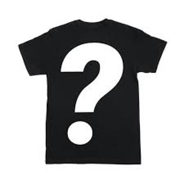 2025 Hedgehog Half Marathon t-shirt